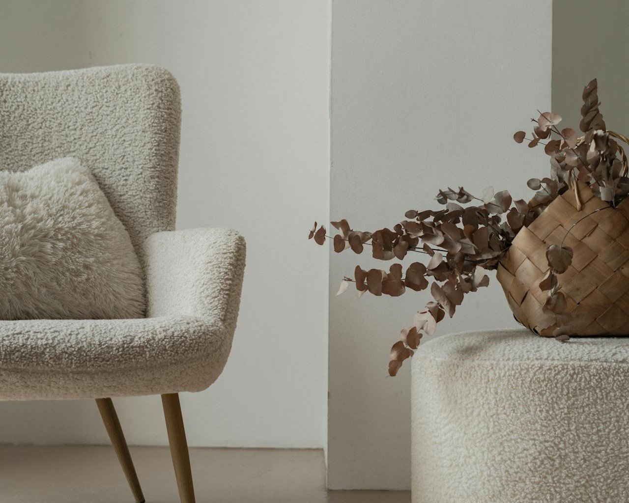 chair and plant in a living room
